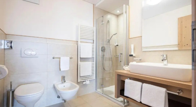Номер Standard Hotel Baumwirt
