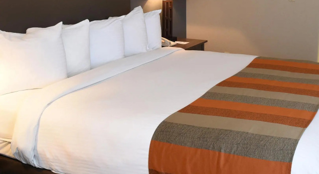 Номер Standard Holiday Inn Express & Suites Phoenix - Tempe by IHG