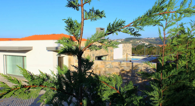 Alluring Villa in Salir de Matos near Coast, Rezerwuj Willa Wille w Centro Region, Willa