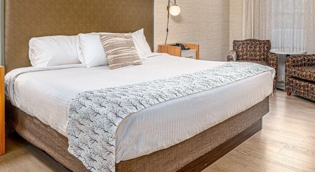 Номер Standard Midnight Rose & McGills Hotel & Casino