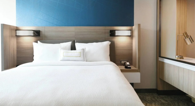 Люкс SpringHill Suites Dallas DFW Airport South/CentrePort