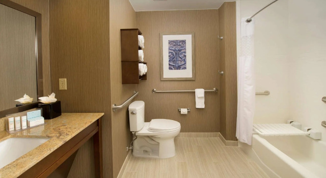 Двухместный номер Accessible Hampton Inn & Suites San Antonio-Downtown/Market Square