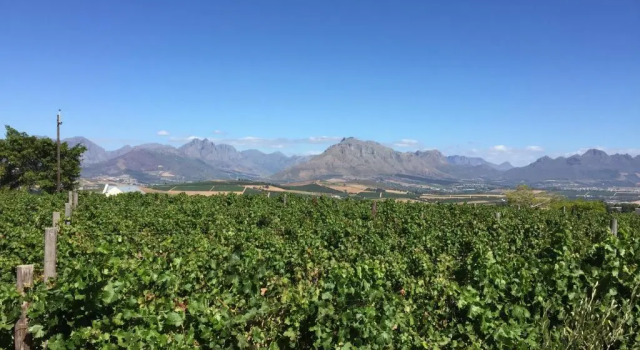 Апартаменты Domaine Coutelier