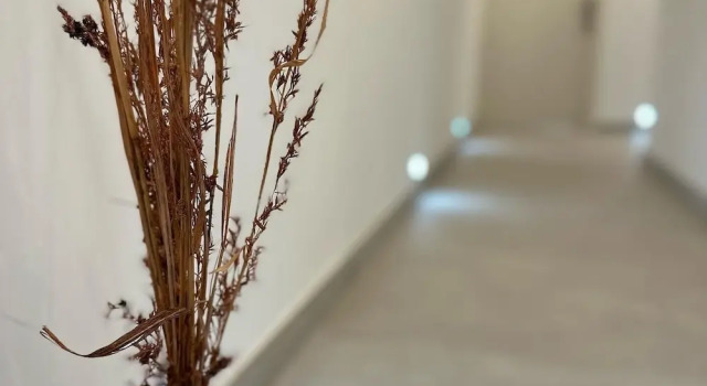 Номер Standard The Central guesthouse
