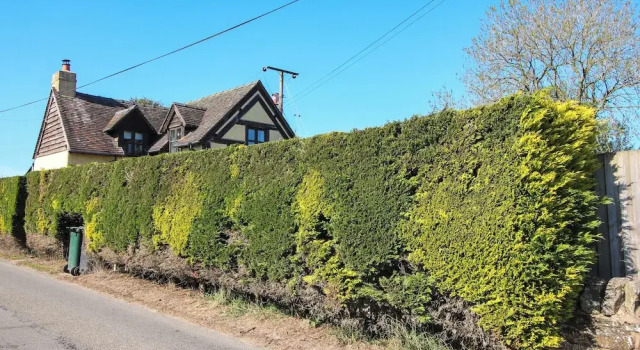 Коттедж Clandyke Cottage