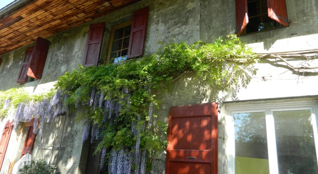 Cottage Niveole, Забронировать Дом для отпуска Виллы Овернь-Рона-Альпы, Вилла