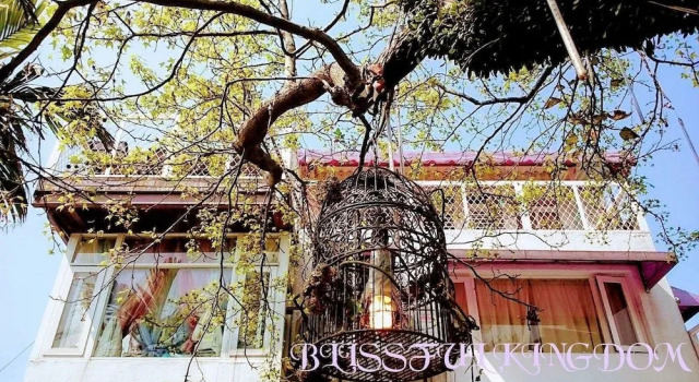 Blissful Kingdom