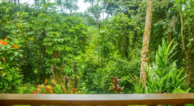 Вилла Standard Villas en el Bosque