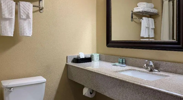 Одноместный люкс Comfort Inn Saint Paul East
