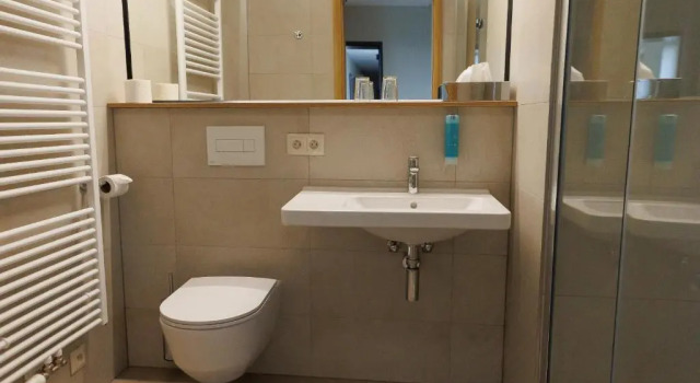 Двухместный номер Standard Avenue Pallova 28