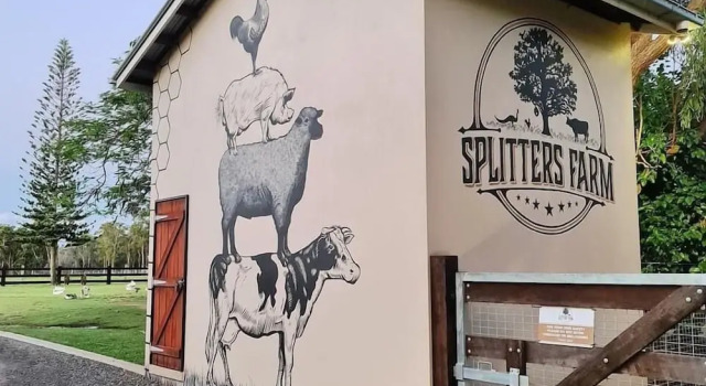 Splitters Farm, Prenota Agriturismo Sharon Queensland