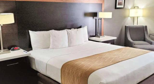 Номер Standard Comfort Inn & Suites Near Universal - N Hollywood - Burbank
