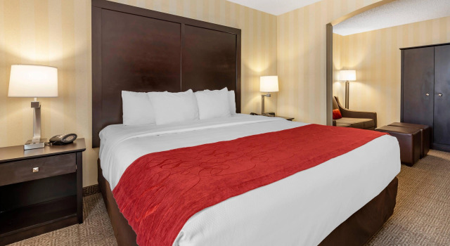 Двухместный люкс Comfort Suites Highlands Ranch Denver Tech Center Area
