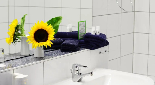 Двухместный номер Standard Hotel Goldener Adler