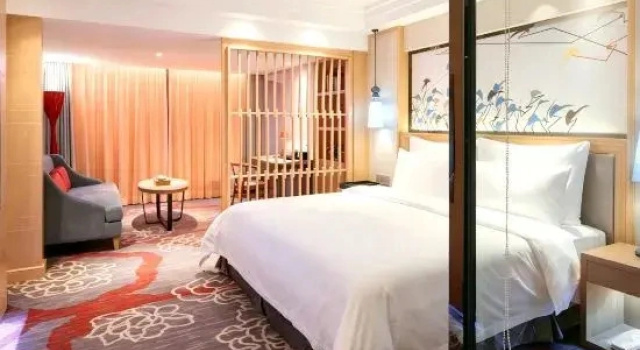 Люкс Domo Hotel