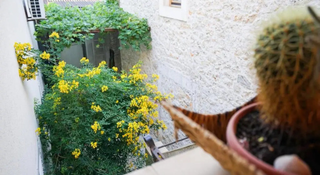 Апартаменты Apartment Krianca