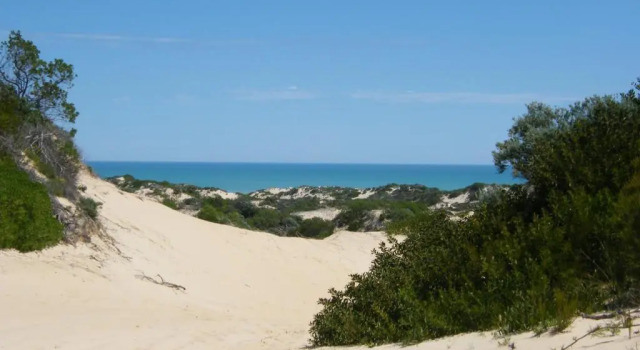 Коттедж с 3 комнатами Coorong Waterfront Retreat