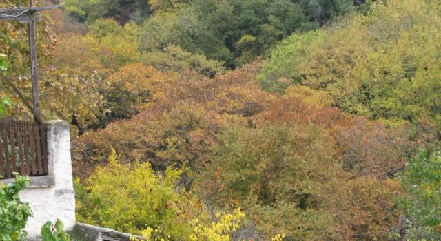 Вилла Koukourava Garden