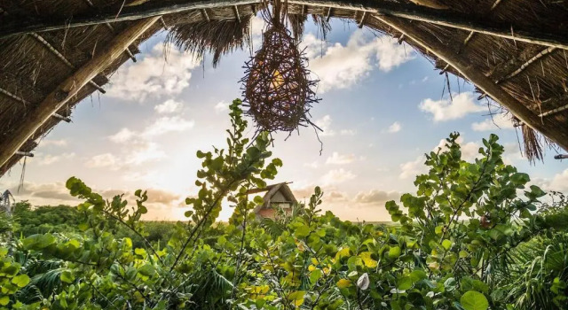 Полулюкс Hidden Treehouse Tulum EcoHotel