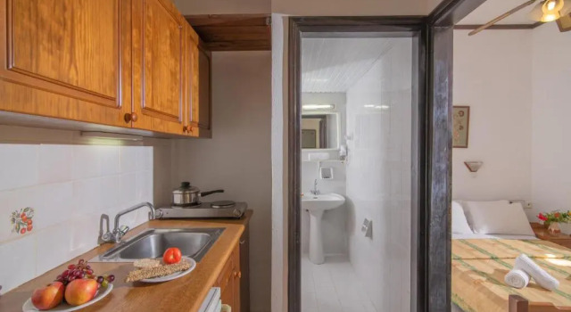 Апартаменты c 1 комнатой с видом на сад или бассейн Iliostasi Beach Apartments