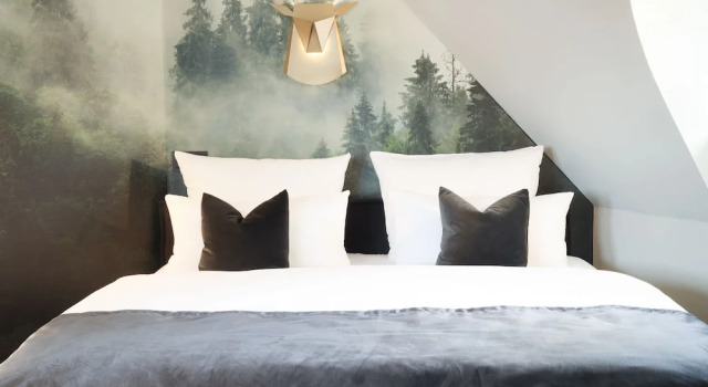 Одноместный номер Standard c 1 комнатой Meinsbur Boutique Hotel