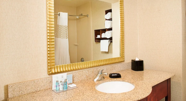 Номер Deluxe Hampton Inn Philadelphia/Willow Grove