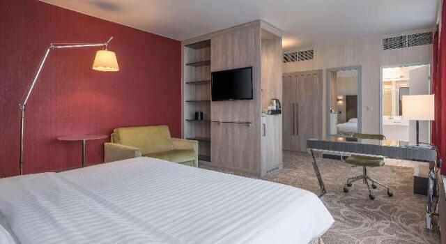 Полулюкс Deluxe Hilton Geneva Hotel and Conference Centre