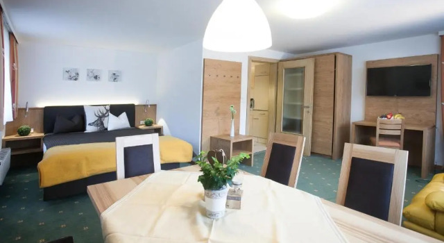 Апартаменты c 1 комнатой BUSSLEHNER Apartments