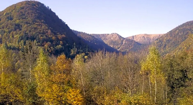 Chambres d'hôtes Les Cigognes, 预订 酒店 桑德纳 Massif des Vosges