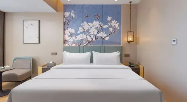 Люкс Deluxe Magnotel Classic Luoyang Normal University New Campus Hotel