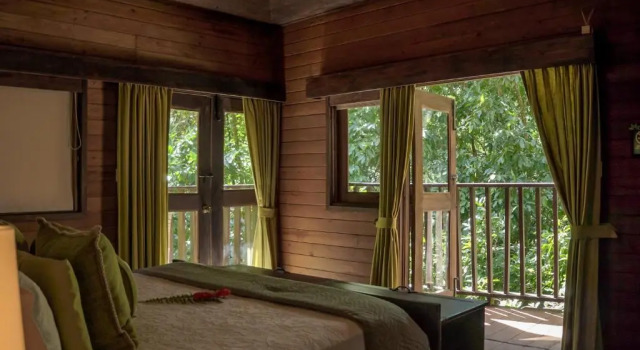 Люкс Superior Platon Ecolodge