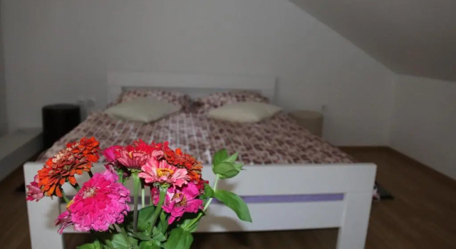 Кровать в общем номере Hostel Art Gradiska