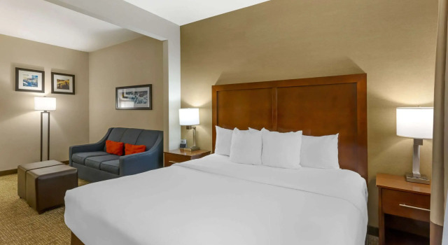 Двухместный люкс Comfort Inn & Suites Jerome - Twin Falls