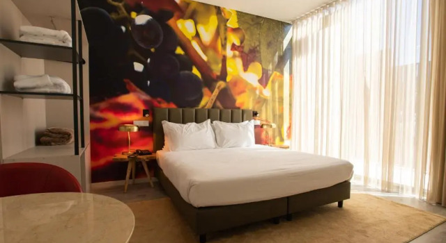Двухместный номер Standard Grapple Hotel & Spa