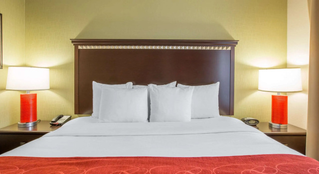 Двухместный люкс Comfort Suites Locust Grove Atlanta South
