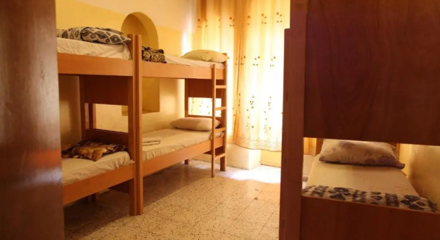 Bett im Wohnheim Palm Hostel