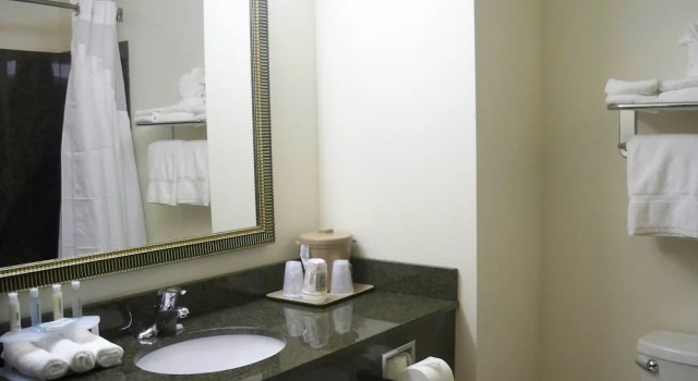 Двухместный люкс Holiday Inn Express & Suites - Omaha I - 80 by IHG