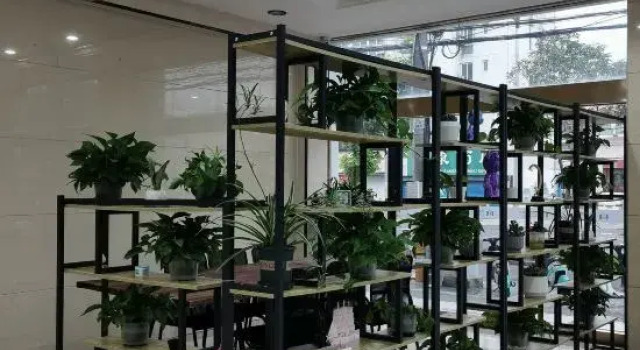 Mei Xuan Lizhi Hotel, Rezervovat Hotel Jang-čou 