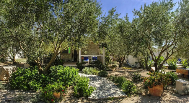 Номер Standard Olive Garden Camp Resort