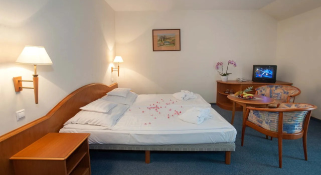 Kehida Termal Hotel, Book Hotel Kehidakustany 