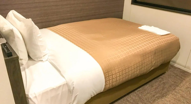 Номер Standard Hotel Livemax Toyama