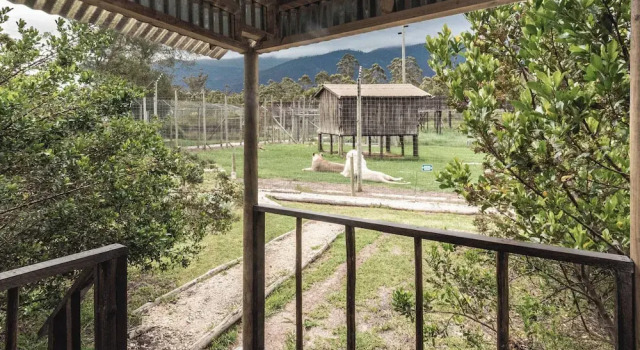 Sleep Whiskers Away From the Lions and " Feel " Them Roar! Cabin 4, Boek Vakantiehuis Hotels in Kurland met parkeren, Parkeren