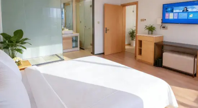 Люкс Deluxe Olympic International Hotel
