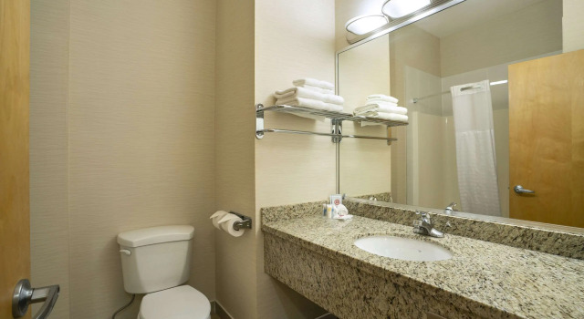 Четырёхместный номер Standard Comfort Inn & Suites Surrey
