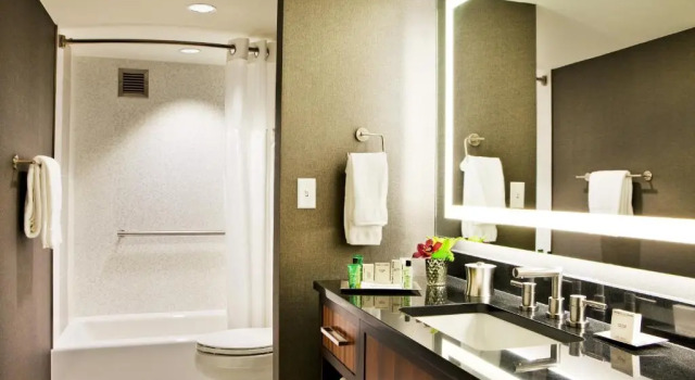 Двухместный люкс c 1 комнатой Hilton Nashville Downtown