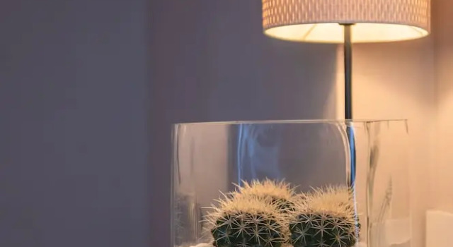 Номер Standard Hotel Anthony