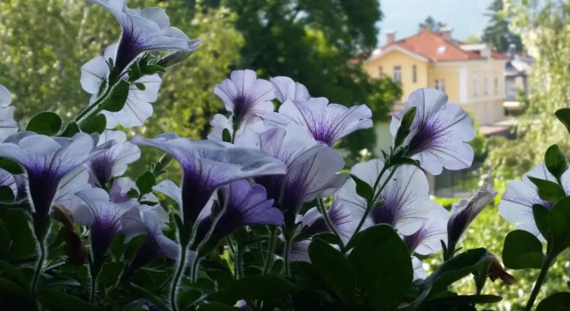 Апартаменты Ferienwohnung Holiday Lienz