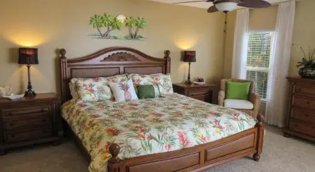 Island Reef 504