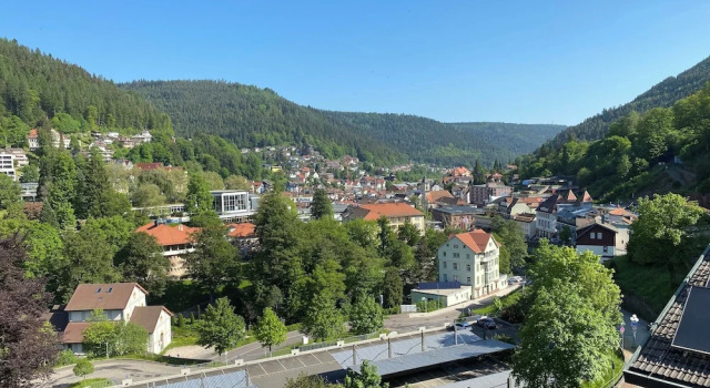 Номер Standard Wellnesshotel Rothfuß mit Spa und 2 Schwimmbädern