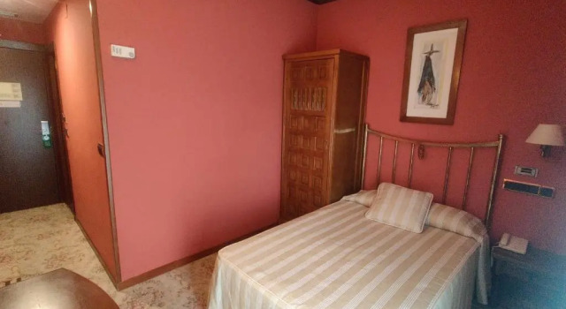 Одноместный номер Hotel Leonor Mirón
